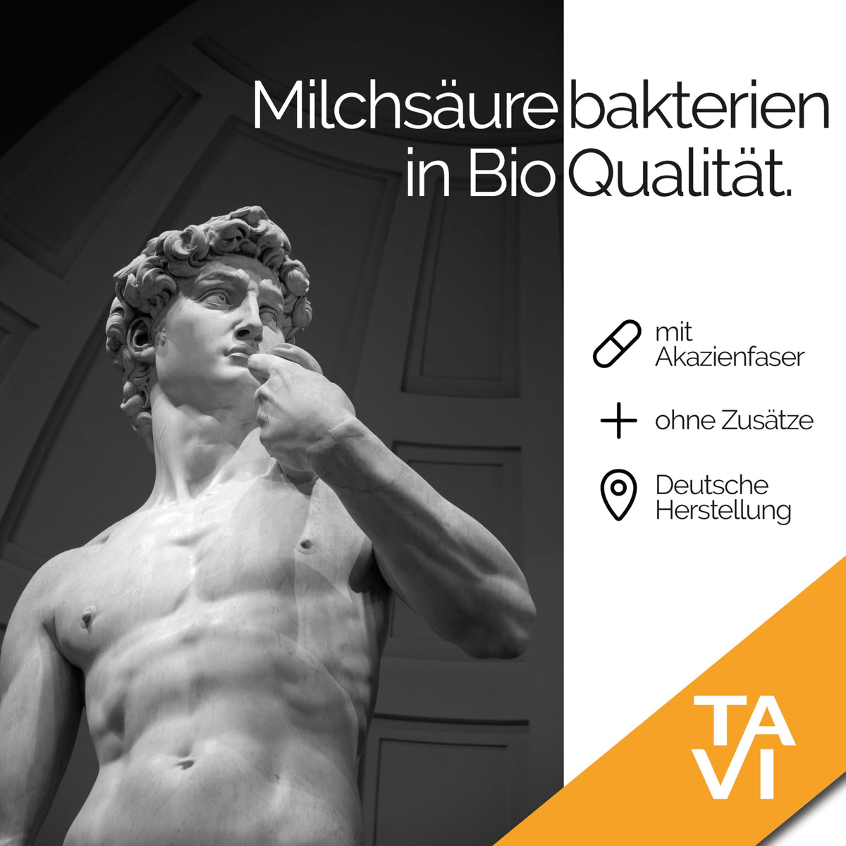 TAVI® Milchsäurebakterien Bio Kapseln (Lactobacillus-Stämme, lebende Bakterien)
