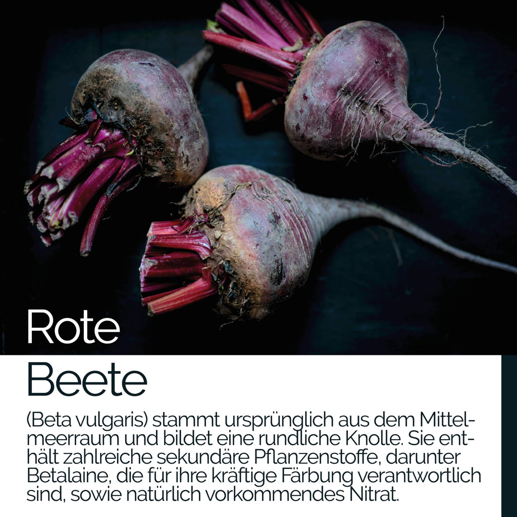 TAVI® Rote Beete Extrakt Kapseln (Beta vulgaris, Beetroot)