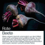 TAVI® Rote Beete Extrakt Kapseln (Beta vulgaris, Beetroot)