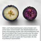 TAVI® Wald-Heidelbeere Extrakt Kapseln (Wildheidelbeere, Bilberry 15:1)
