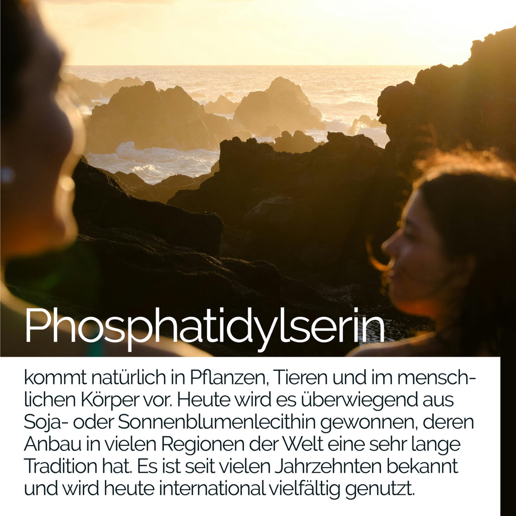 TAVI® Phosphatidylserin Kapseln (PS aus Sojalecithin)