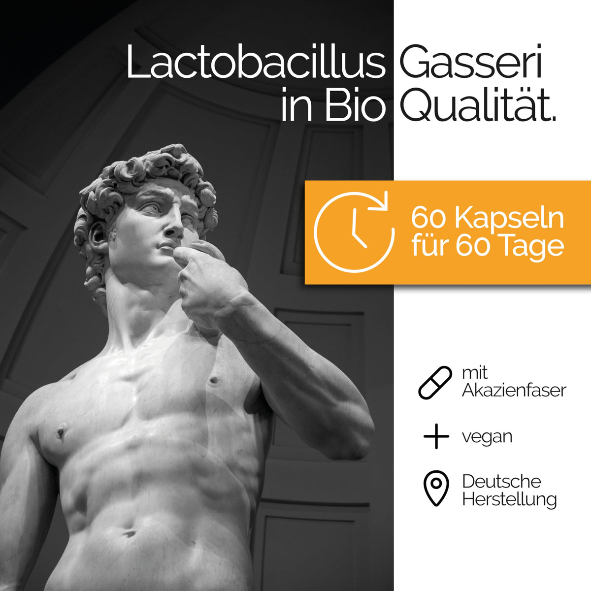 TAVI® Lactobacillus Gasseri Bio Kapseln (L. gasseri DSM 32751, lebende Bakterien)