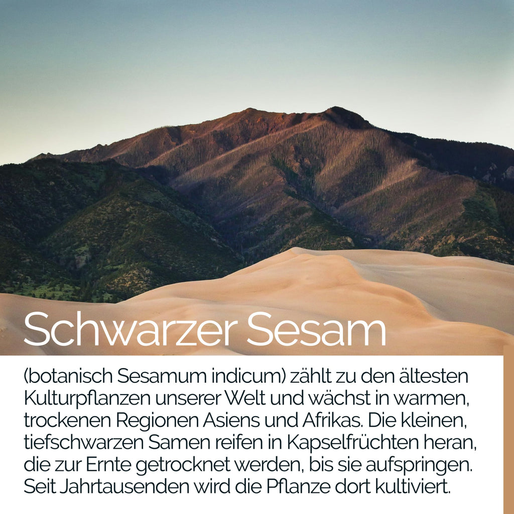 TAVI® Schwarzer Sesam Extrakt Kapseln (Sesamum indicum)