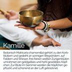 TAVI® Kamille Extrakt Kapseln (Kamillenblüten, Matricaria chamomilla)