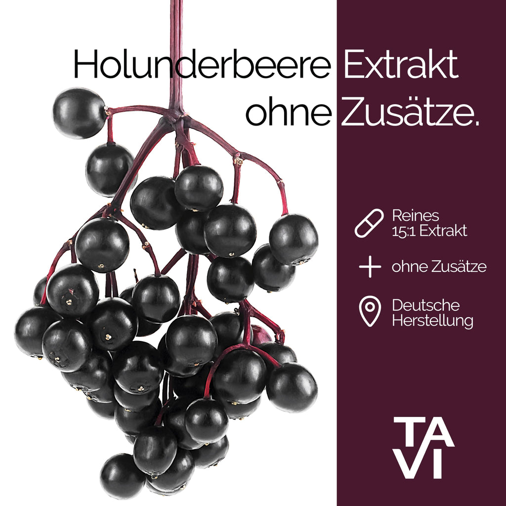 TAVI® Holunderbeeren Extrakt Kapseln (Sambucus nigra 15:1, Polyphenole)