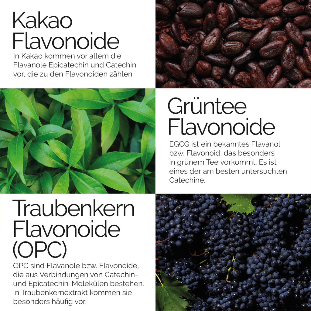 TAVI® Flavonoide Komplex Kapseln (Kakao-Flavanole, OPC Traubenkern, Grüntee EGCG)