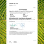 TAVI® Grüntee Flavonoide Kapseln (Grüntee-Extrakt, EGCG, Catechine)