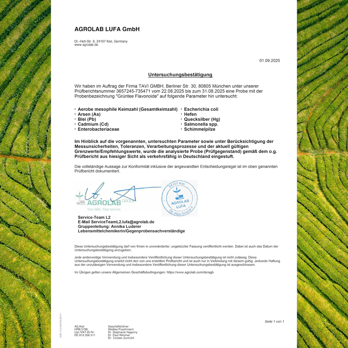 TAVI® Grüntee Flavonoide Kapseln (Grüntee-Extrakt, EGCG, Catechine)