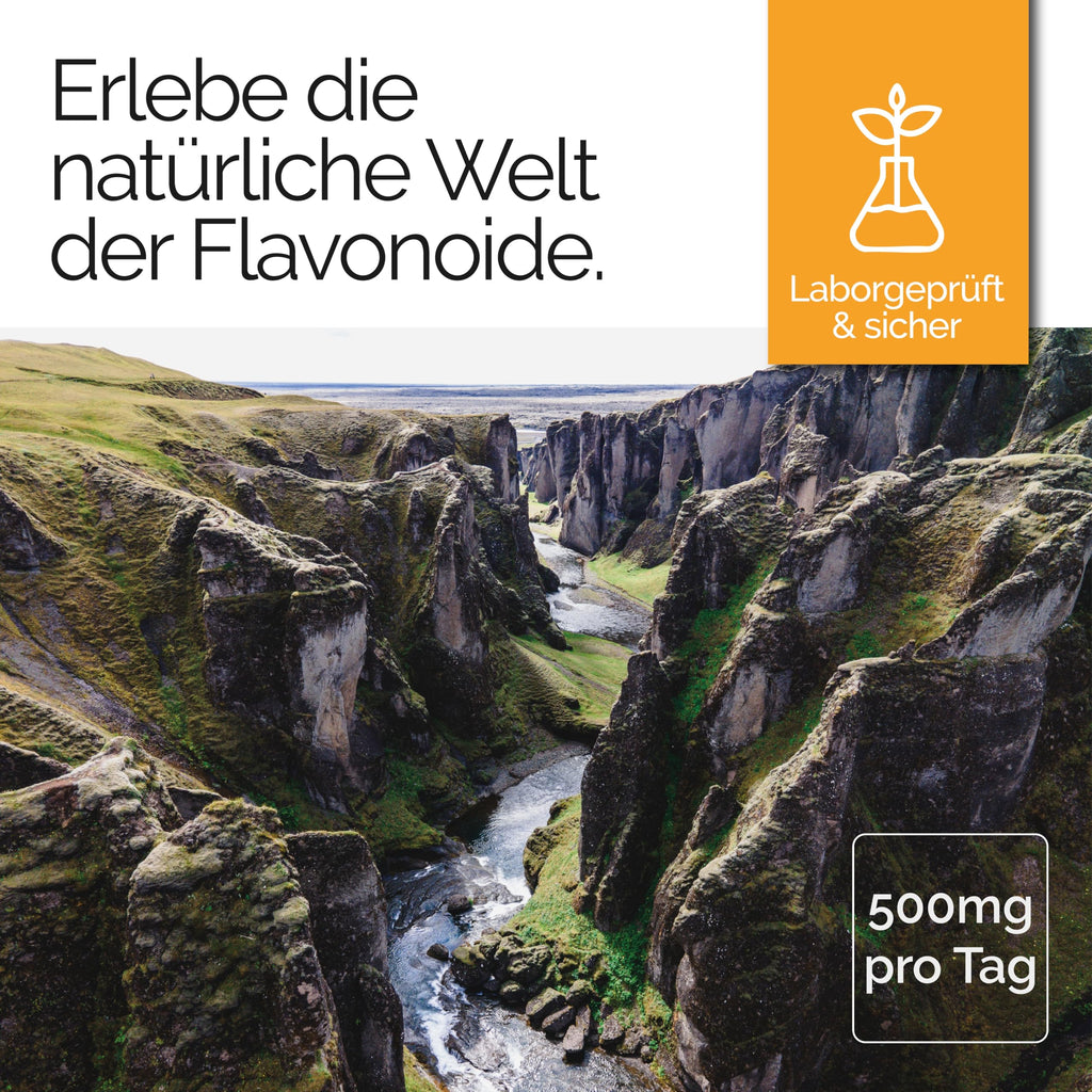 TAVI® Kakao Flavonoide Kapseln (Kakao-Flavanole, Epicatechin, Theobromin)