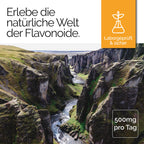 TAVI® Kakao Flavonoide Kapseln (Kakao-Flavanole, Epicatechin, Theobromin)