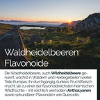 TAVI® Wald-Heidelbeere Extrakt Kapseln (Wildheidelbeere, Bilberry 15:1)